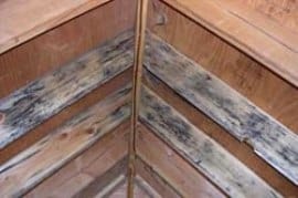 long island attic inspection