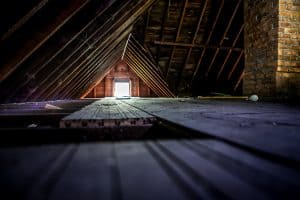 attic inspector long island